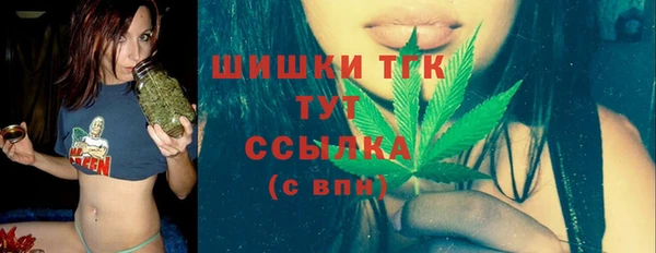 сатива Баксан