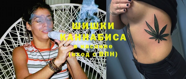 сатива Баксан