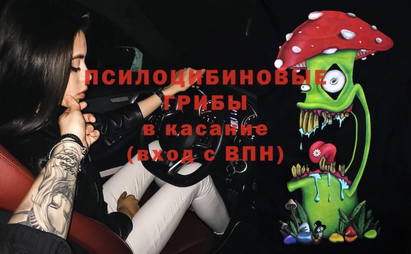сатива Баксан