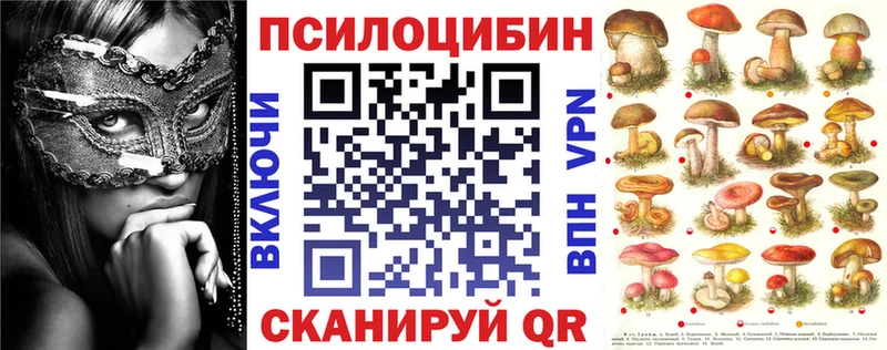 Галлюциногенные грибы Cubensis  Вяземский 