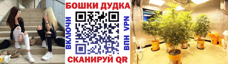 Канабис конопля Вяземский